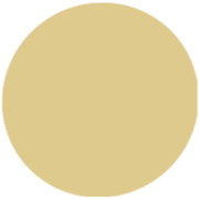 Gold Prom Dresses UK Clearance